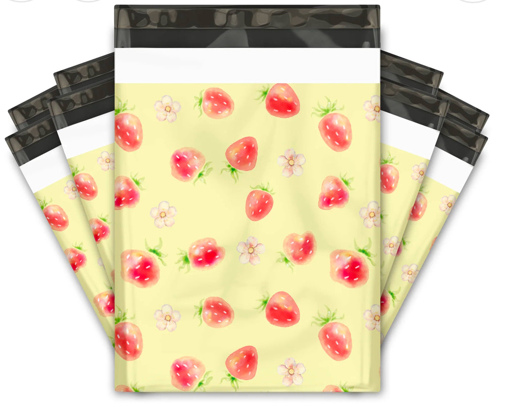 10x13 Poly Mailers set of 100