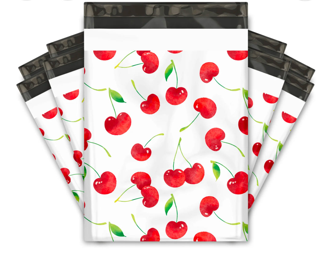 10x13 Poly Mailers set of 100