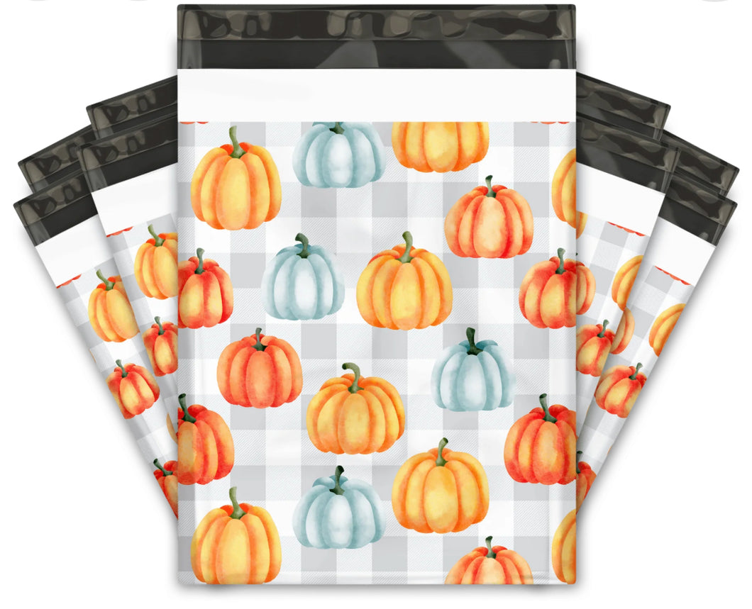 10x13 Poly Mailer set of 25