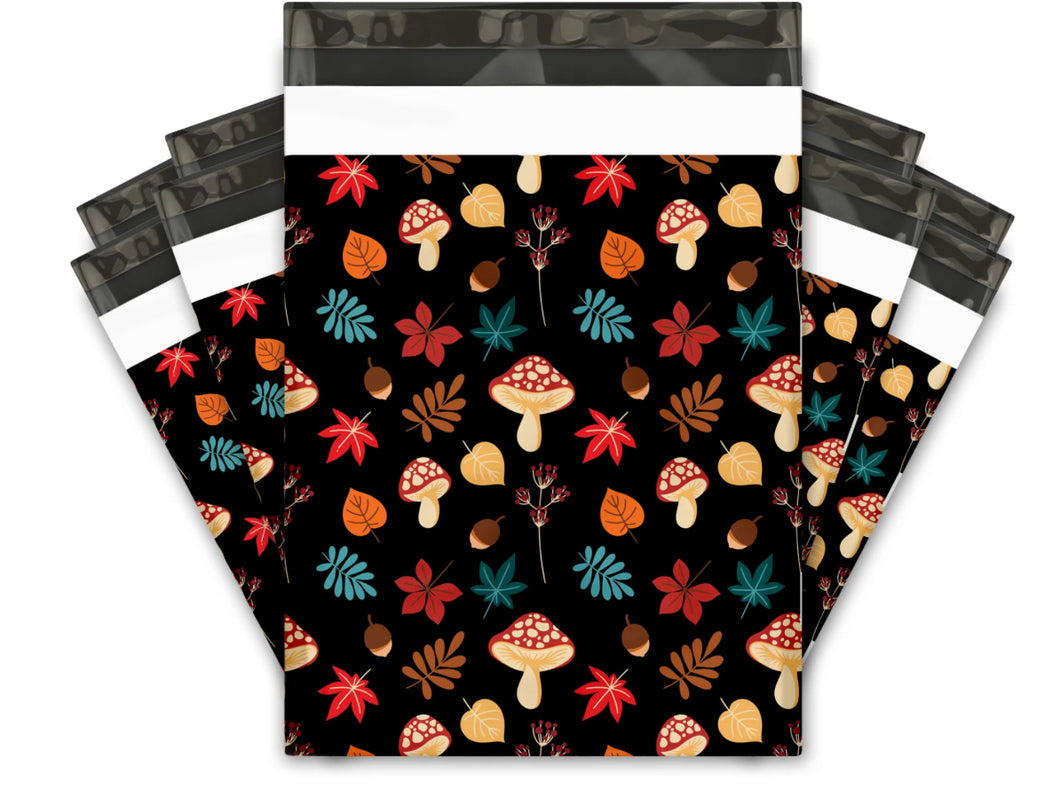 10x13 Poly Mailer set of 25